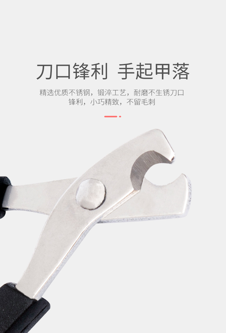 Pet Nail Clipper Stainless Steel Cat Nail Clippers Pet Scissors Cat Cleaning Beauty Nail Clippers Pet Supplies Pet Nail Clipper Stainless Steel Cat Nail Clippers Pet Scissors Cat Cleaning Beauty Nail Clippers Pet Supplies