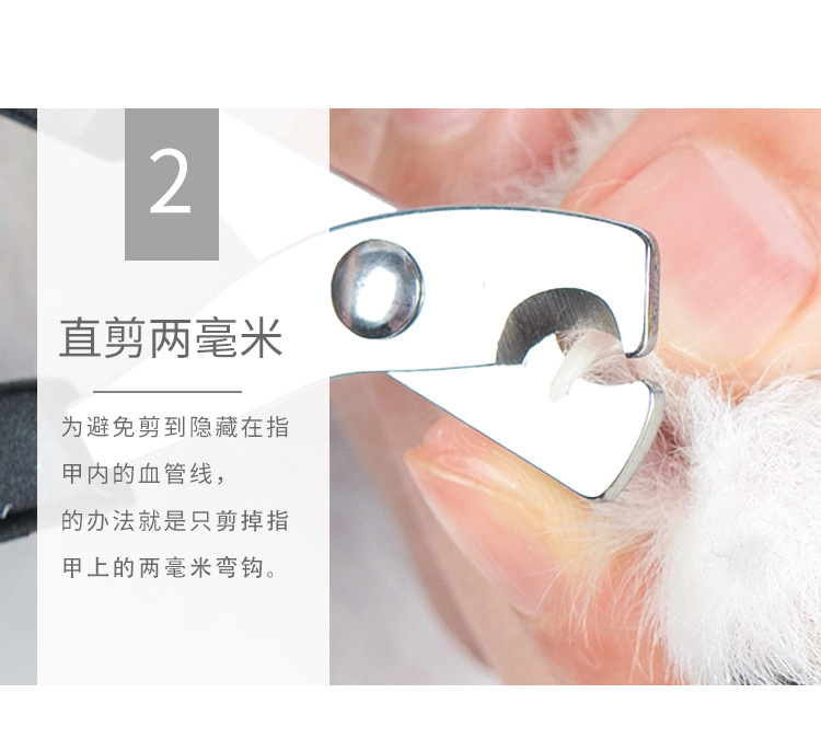 Pet Nail Clipper Stainless Steel Cat Nail Clippers Pet Scissors Cat Cleaning Beauty Nail Clippers Pet Supplies Pet Nail Clipper Stainless Steel Cat Nail Clippers Pet Scissors Cat Cleaning Beauty Nail Clippers Pet Supplies
