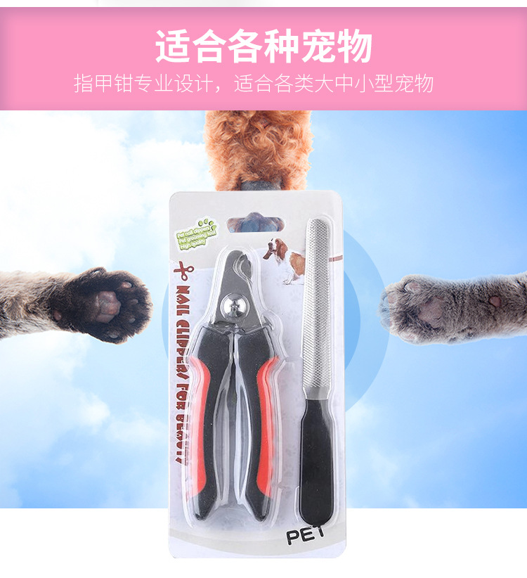 Factory Direct Sales Pet Nail Clipper Set File Two-Piece Set Cat and Dog Universal Stainless Steel Cat and Dog Nail Scissors