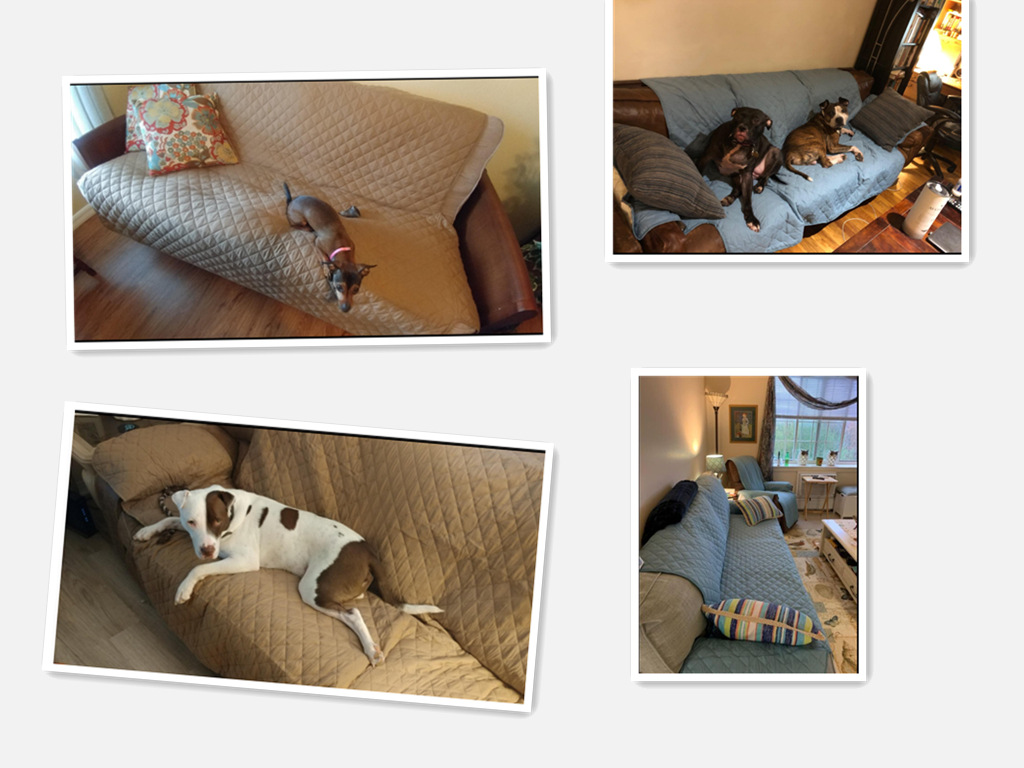 Amazon Hot Waterproof Non-Slip Pet Sofa Cushion Wholesale Four Seasons Universal Integrated Sofa Slipcover Sofa Cushion