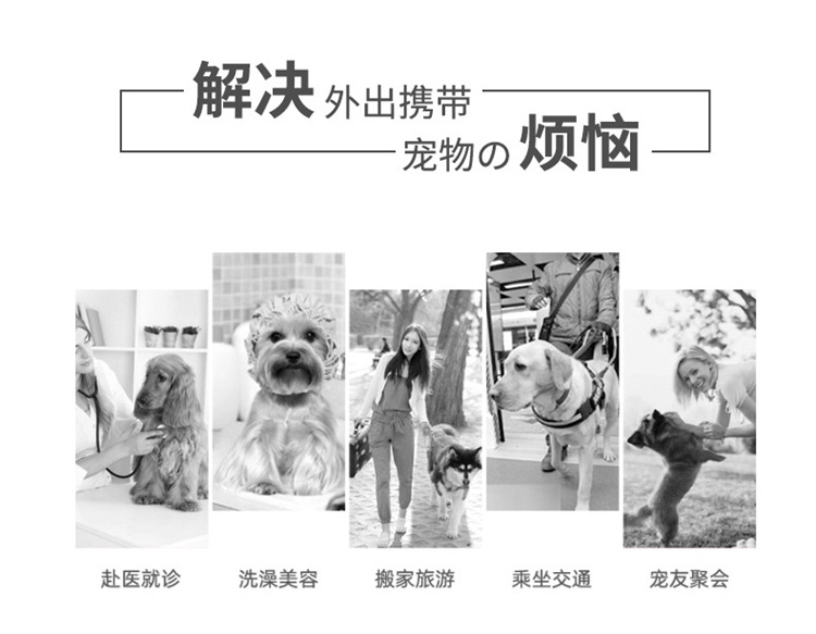Pet Bag Spot Cat and Dog Portable Backpack Large Space Lightweight Portable One-Shoulder Pet Backpack Pet Bag Spot Cat and Dog Portable Backpack Large Space Lightweight Portable One-Shoulder Pet Backpack