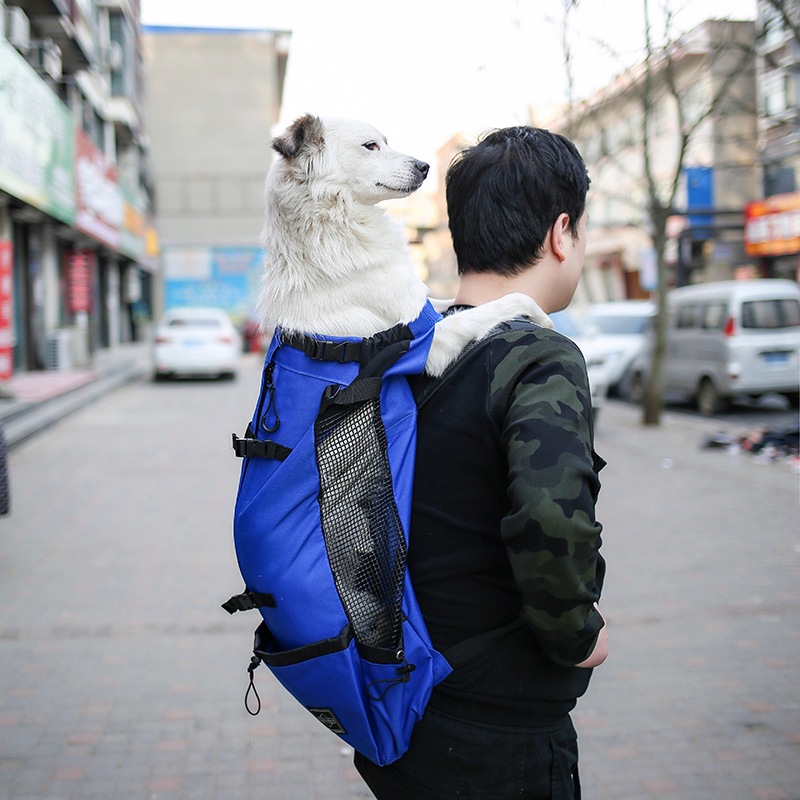 Doogee Pet Backpack for Passengers Dog Outcrop Bag Ventilation Breathable Washable Bicycle Outdoor Shopping Backpack