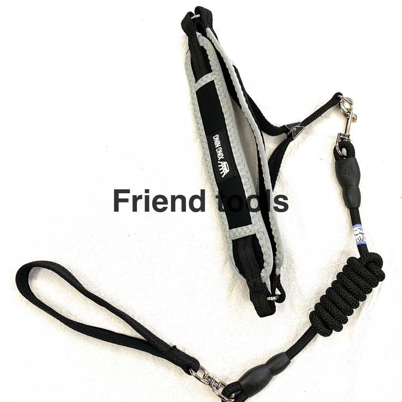 Pet Chain Anti-Pinching Wool Cotton Chest Back Hand Holding Rope 5 Colors Mixed