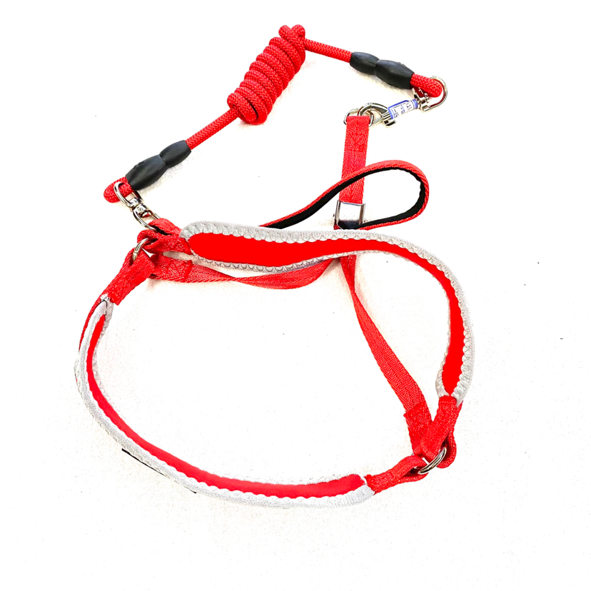 Pet Chain Anti-Pinching Wool Cotton Chest Back Hand Holding Rope 5 Colors Mixed Pet Chain Anti-Pinching Wool Cotton Chest Back Hand Holding Rope 5 Colors Mixed