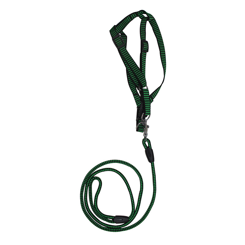 Pet Hand Holding Rope Factory Wholesale Checkered round Rope Chest Back Hand Holding Rope Price Excellent Dog Dog Leash Wholesale Pet Hand Holding Rope Factory Wholesale Checkered round Rope Chest Back Hand Holding Rope Price Excellent Dog Dog Leash Wholesale