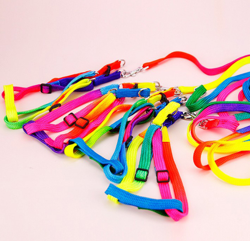 T Pet Supplies Wholesale Colorful Nylon Chest and Back Cover Hand Holding Rope Teddy Dog Leash Cat Nylon Tow Rope Hand Holding Rope