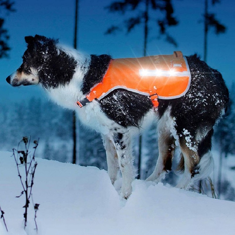 Factory Direct Sales Led Orange Luminous Pet Vest USB Rechargeable Reflective Dog Clothes Waterproof Chest Back Pet Supplies