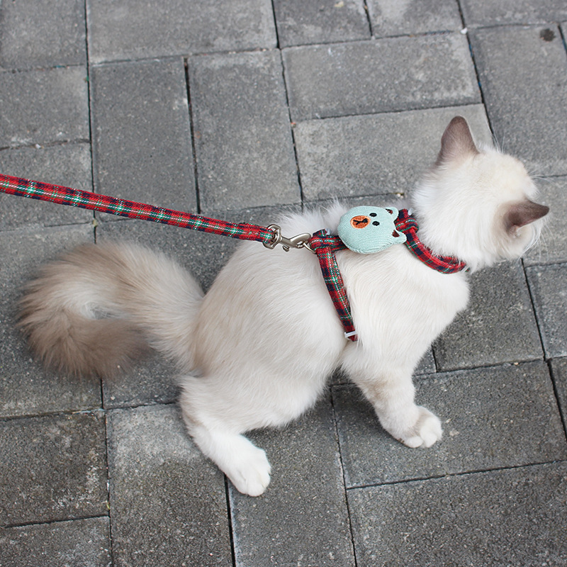 New Cat Pulling Rope I-Shaped Cat Chain Dog Leash Cute Bear Head Pet's Chest-Back Traction Belt Wholesale New Cat Pulling Rope I-Shaped Cat Chain Dog Leash Cute Bear Head Pet's Chest-Back Traction Belt Wholesale