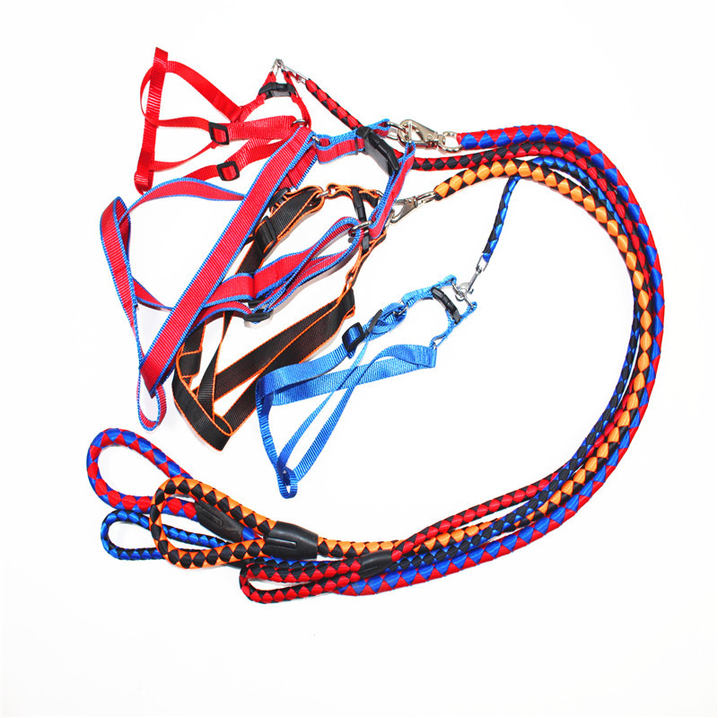 Processing Customized Hand-Woven Pet Traction Belt round Rope Chest Back Dog Hand Holding Rope Walking Dog