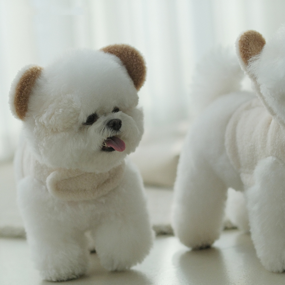 Spot Ins Korean Bear Stand Ear Cap Chest Back Pet Dog Bichon Maltese Small Dog Hand Holding Rope