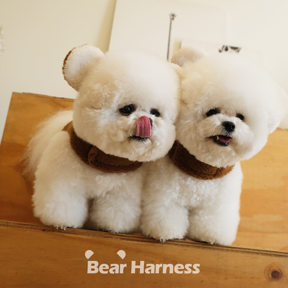 Spot Ins Korean Bear Stand Ear Cap Chest Back Pet Dog Bichon Maltese Small Dog Hand Holding Rope