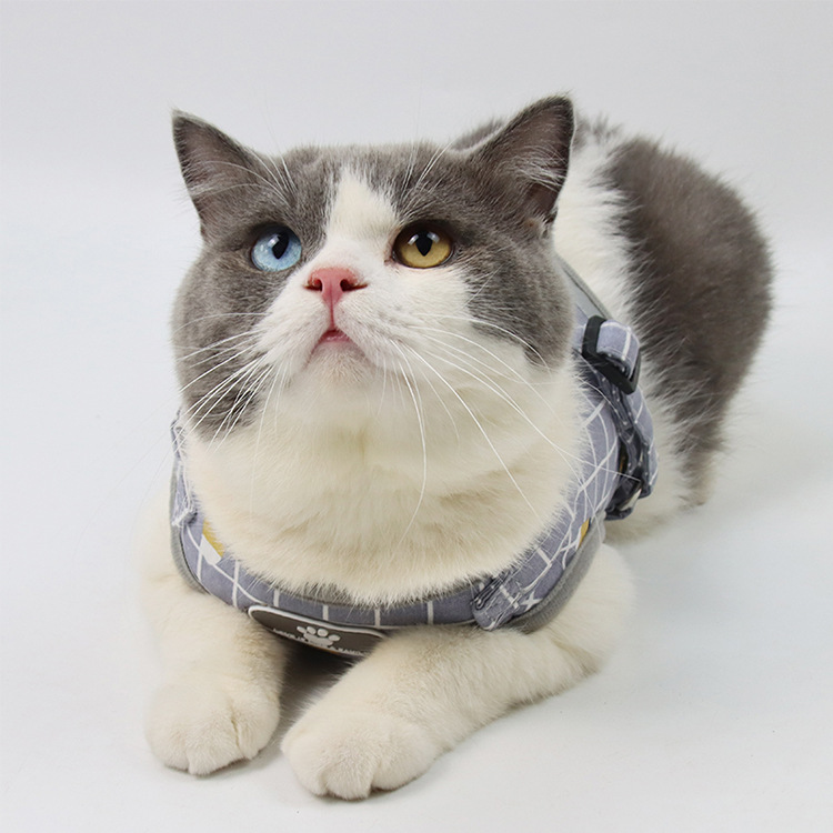 Pet Leash Vest-Style Dog Breast Strap Small and Medium-Sized Dogs Leash Cat Chest Back Currently Available Wholesale