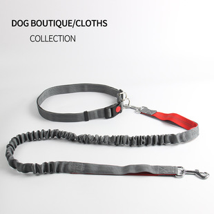 Hot Selling Pet Leash Dog Breast Strap Small and MediumSized Dogs round Rope Chest Back Traction Supplies Whole Hot Selling Pet Leash Dog Breast Strap Small and MediumSized Dogs round Rope Chest Back Traction Supplies Whole
