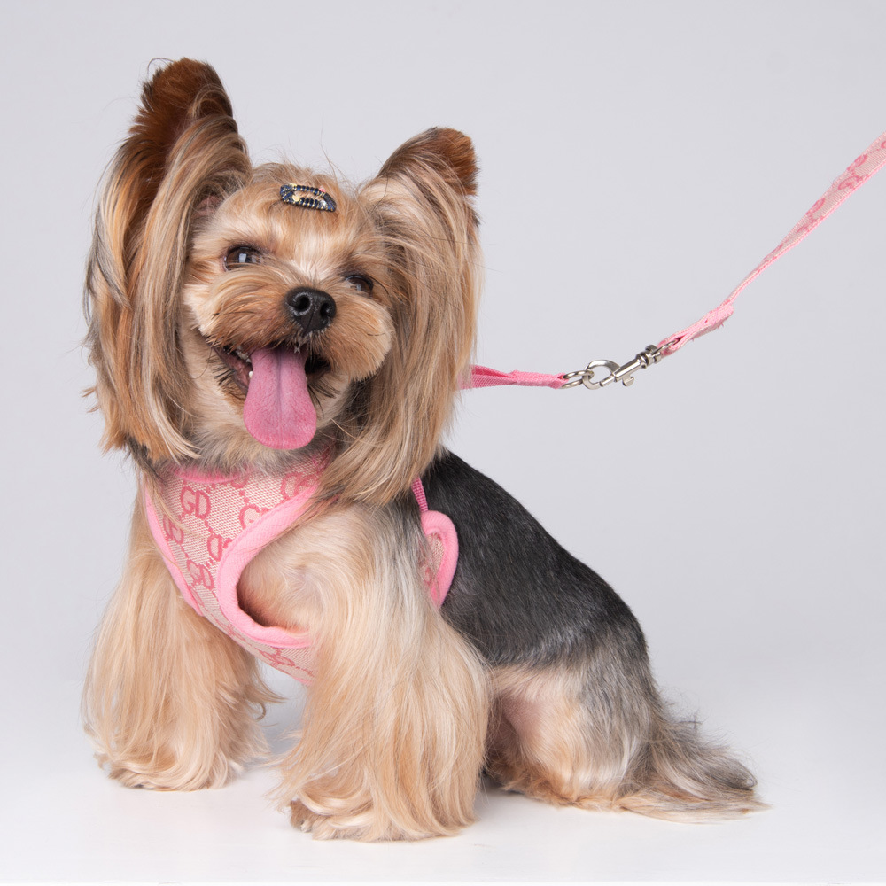 Amazon New Style Pet's Chest-Back Dog Hand Holding Rope Dog Rope out Collar Hand Holding Rope Pet Supplies Factory Amazon New Style Pet's Chest-Back Dog Hand Holding Rope Dog Rope out Collar Hand Holding Rope Pet Supplies Factory