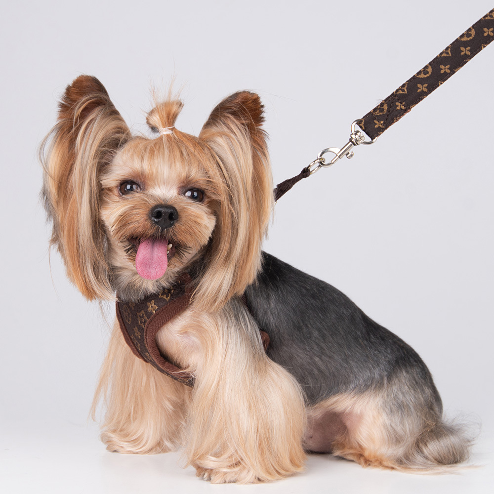 Amazon New Style Pet's Chest-Back Dog Hand Holding Rope Dog Rope out Collar Hand Holding Rope Pet Supplies Factory Amazon New Style Pet's Chest-Back Dog Hand Holding Rope Dog Rope out Collar Hand Holding Rope Pet Supplies Factory