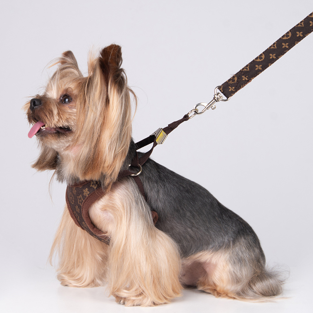 Amazon New Style Pet's Chest-Back Dog Hand Holding Rope Dog Rope out Collar Hand Holding Rope Pet Supplies Factory Amazon New Style Pet's Chest-Back Dog Hand Holding Rope Dog Rope out Collar Hand Holding Rope Pet Supplies Factory