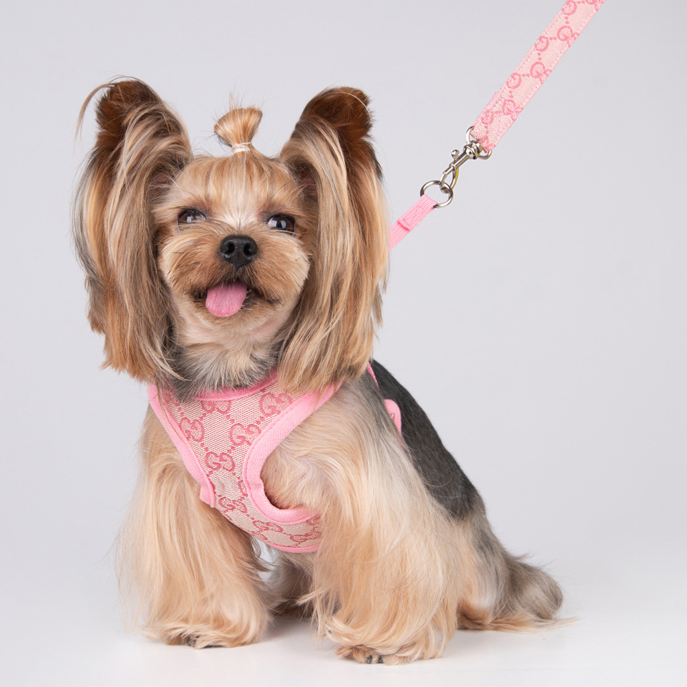 Amazon New Style Pet's Chest-Back Dog Hand Holding Rope Dog Rope out Collar Hand Holding Rope Pet Supplies Factory Amazon New Style Pet's Chest-Back Dog Hand Holding Rope Dog Rope out Collar Hand Holding Rope Pet Supplies Factory