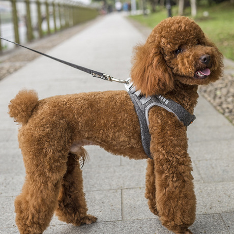 Amazon pet dog leash vest type dog leash dog chest back leash clothing