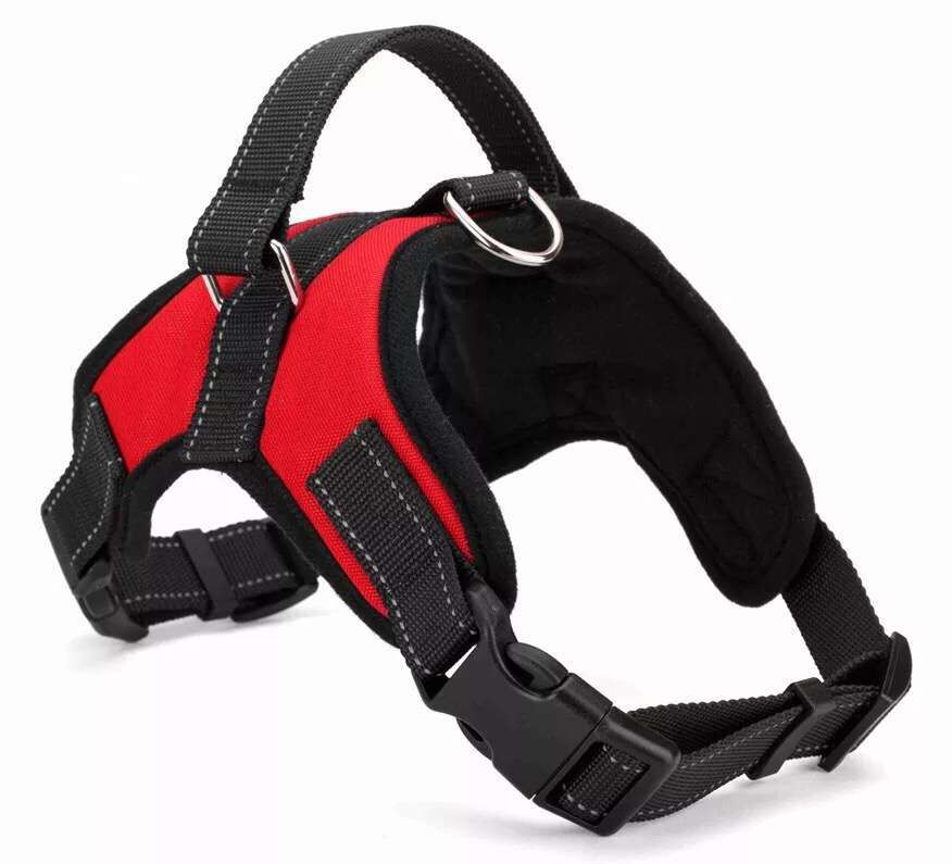 Pet Harness Medium Large Dog Explosion-Proof Hand Holding Rope Golden Retriever Samo Labrador Bone Chest and Back