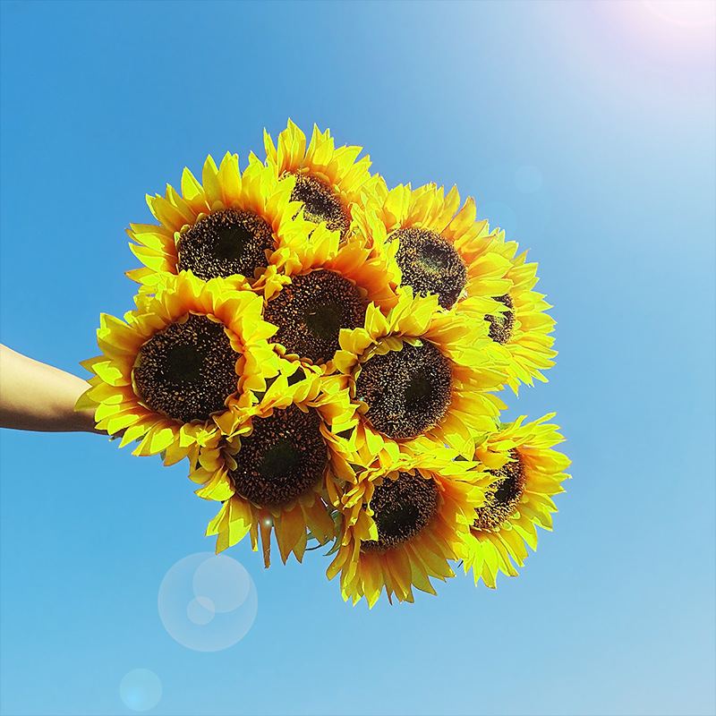 Flower SUNFLOWER Pastoral Style Wedding Decoration Photography Props Home Display Window Decorative Fake Flower Whole
