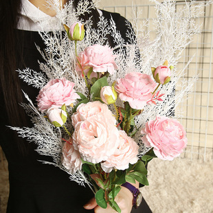 Crafts Reed Grass Ins Style Wholesale Artificial Flower Factory Artificial Flower Green Plant Wedding Cross-Border Decoration Mw09916 Crafts Reed Grass Ins Style Wholesale Artificial Flower Factory Artificial Flower Green Plant Wedding Cross-Border Decoration Mw09916