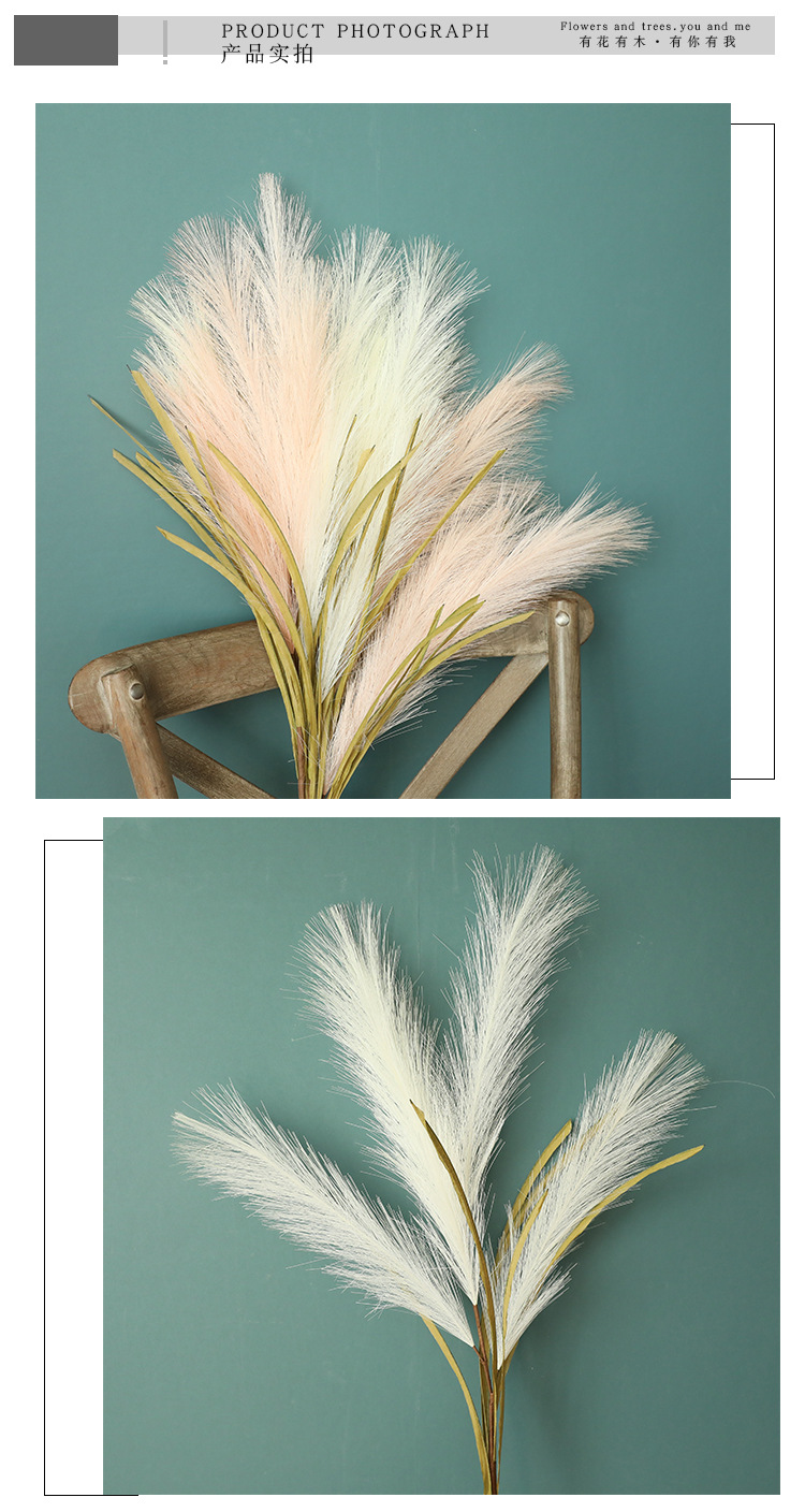 Crafts Reed Grass Ins Style Wholesale Artificial Flower Factory Artificial Flower Green Plant Wedding Cross-Border Decoration Mw09916 Crafts Reed Grass Ins Style Wholesale Artificial Flower Factory Artificial Flower Green Plant Wedding Cross-Border Decoration Mw09916
