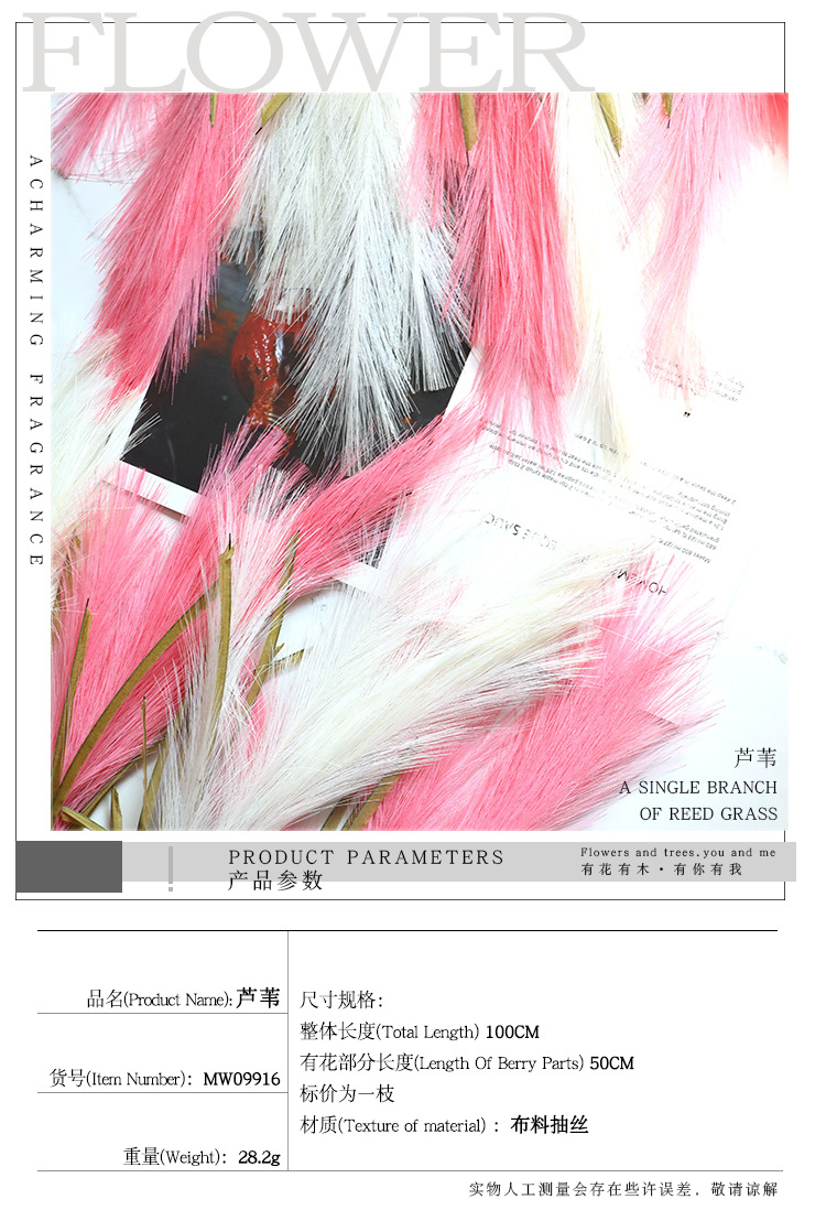 Crafts Reed Grass Ins Style Wholesale Artificial Flower Factory Artificial Flower Green Plant Wedding Cross-Border Decoration Mw09916 Crafts Reed Grass Ins Style Wholesale Artificial Flower Factory Artificial Flower Green Plant Wedding Cross-Border Decoration Mw09916