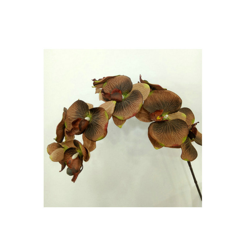 Raw Silk Autumn Phalaenopsis Wedding Celebration Decoration Decoration Plastic Crafts Phalaenopsis Artificial Flower