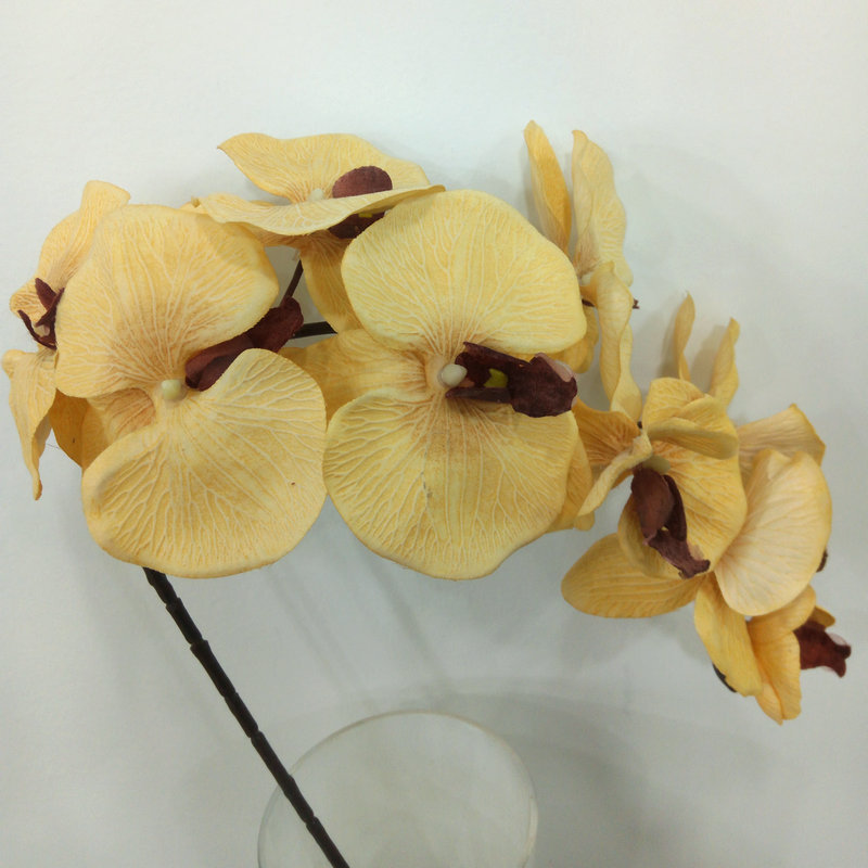 Raw Silk Autumn Phalaenopsis Wedding Celebration Decoration Decoration Plastic Crafts Phalaenopsis Artificial Flower