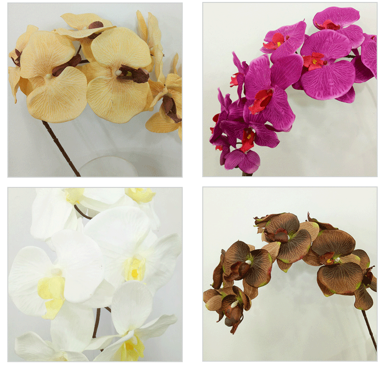 Raw Silk Autumn Phalaenopsis Wedding Celebration Decoration Decoration Plastic Crafts Phalaenopsis Artificial Flower