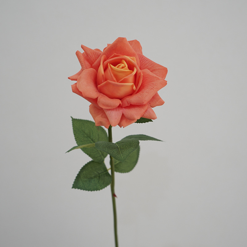 Moist Feeling Artificial Flower Single Stem Austin Rose Indoor Table Decorative Ornaments Fake Flower for Wedding