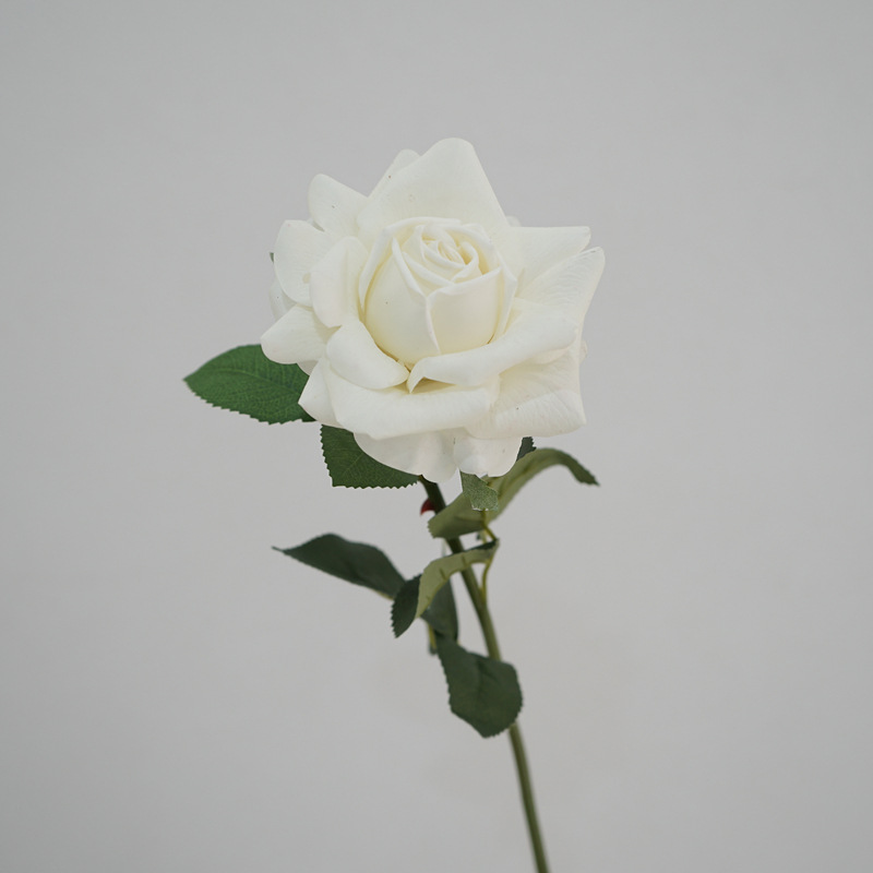 Moist Feeling Artificial Flower Single Stem Austin Rose Indoor Table Decorative Ornaments Fake Flower for Wedding Moist Feeling Artificial Flower Single Stem Austin Rose Indoor Table Decorative Ornaments Fake Flower for Wedding