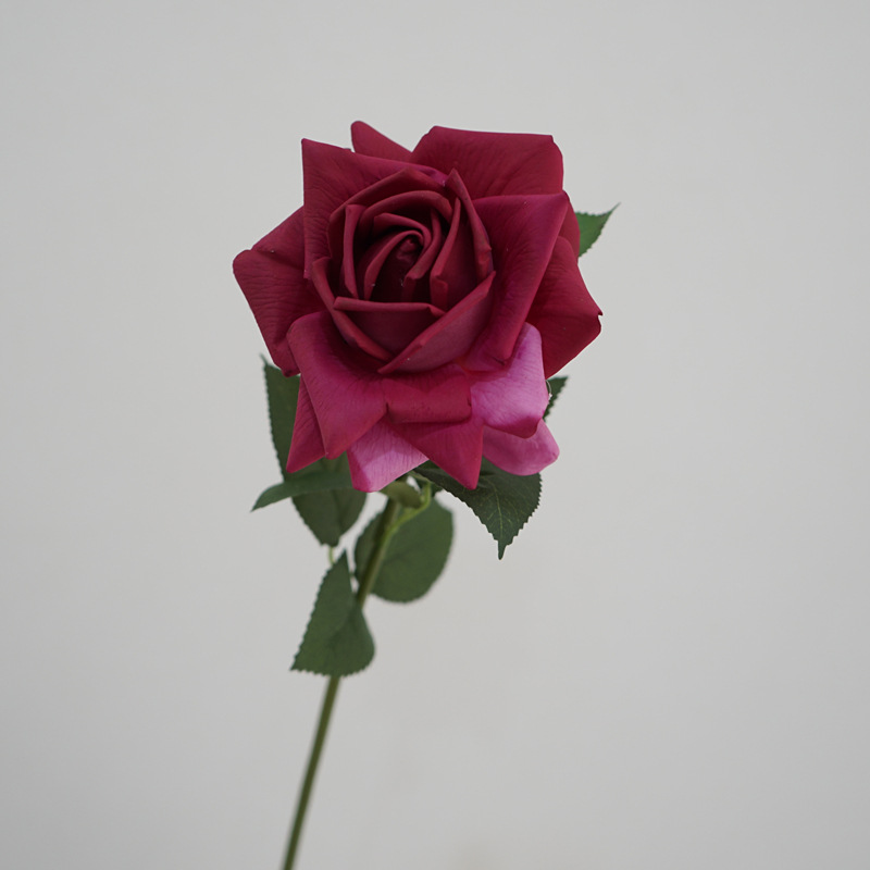 Moist Feeling Artificial Flower Single Stem Austin Rose Indoor Table Decorative Ornaments Fake Flower for Wedding