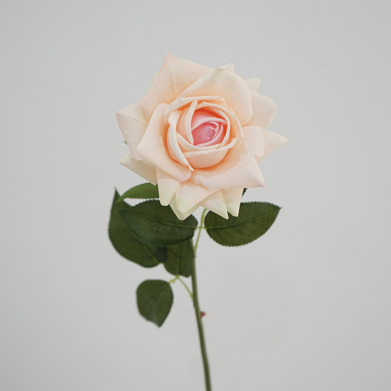 Moist Feeling Artificial Flower Single Stem Austin Rose Indoor Table Decorative Ornaments Fake Flower for Wedding Moist Feeling Artificial Flower Single Stem Austin Rose Indoor Table Decorative Ornaments Fake Flower for Wedding