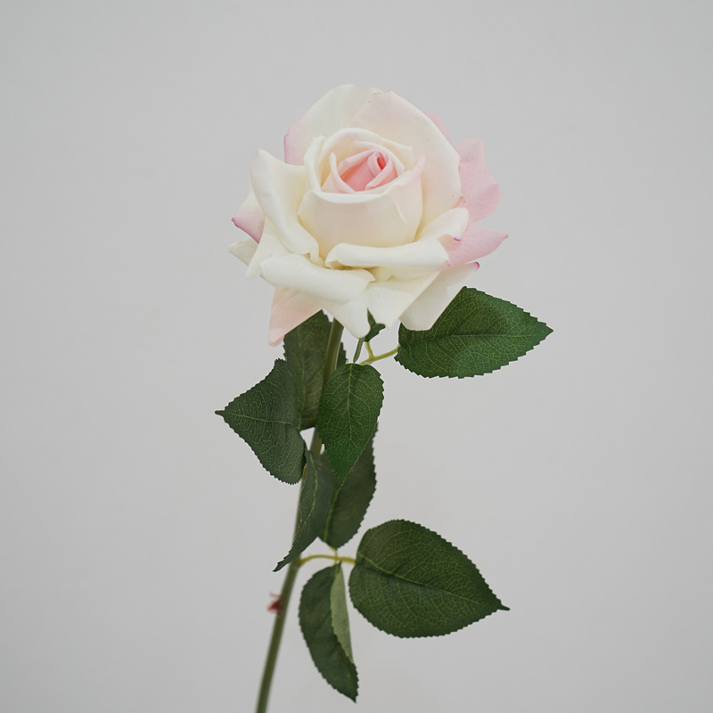Moist Feeling Artificial Flower Single Stem Austin Rose Indoor Table Decorative Ornaments Fake Flower for Wedding Moist Feeling Artificial Flower Single Stem Austin Rose Indoor Table Decorative Ornaments Fake Flower for Wedding
