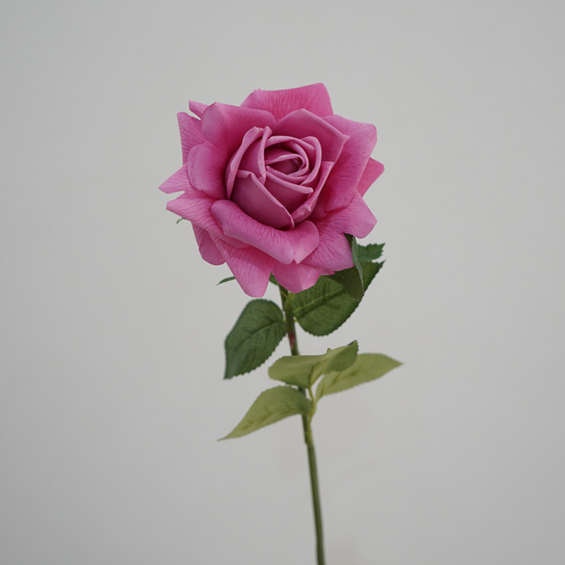 Moist Feeling Artificial Flower Single Stem Austin Rose Indoor Table Decorative Ornaments Fake Flower for Wedding Moist Feeling Artificial Flower Single Stem Austin Rose Indoor Table Decorative Ornaments Fake Flower for Wedding