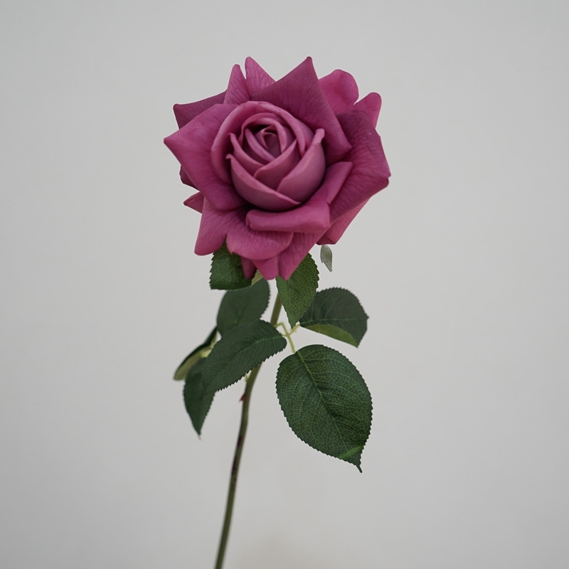 Moist Feeling Artificial Flower Single Stem Austin Rose Indoor Table Decorative Ornaments Fake Flower for Wedding Moist Feeling Artificial Flower Single Stem Austin Rose Indoor Table Decorative Ornaments Fake Flower for Wedding