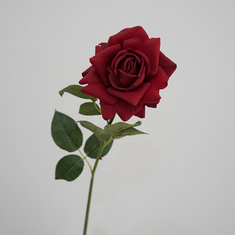 Moist Feeling Artificial Flower Single Stem Austin Rose Indoor Table Decorative Ornaments Fake Flower for Wedding Moist Feeling Artificial Flower Single Stem Austin Rose Indoor Table Decorative Ornaments Fake Flower for Wedding