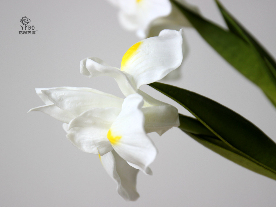 Foreign Trade Export Emulational Flower Decoration Pu Simulation Hand Feeling Irish Iris Tectorum Wedding ornaments