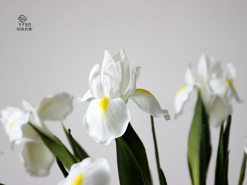Foreign Trade Export Emulational Flower Decoration Pu Simulation Hand Feeling Irish Iris Tectorum Wedding ornaments