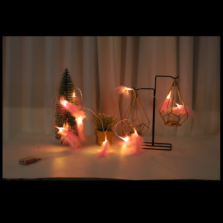 Cross-border hot-selling feather lamp string instagraph wedding decorations small lights led Christmas lights