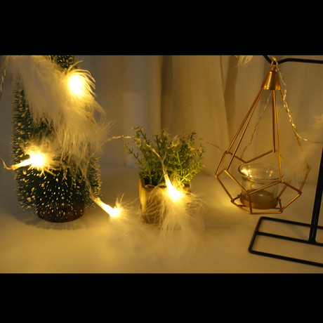 Cross-border hot-selling feather lamp string instagraph wedding decorations small lights led Christmas lights