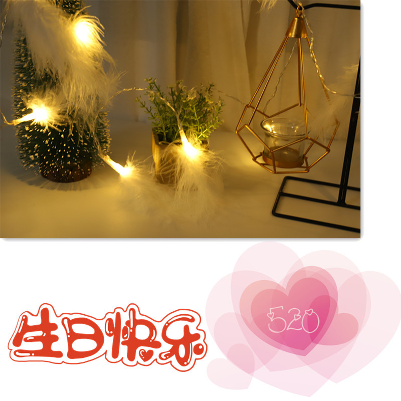 Cross-border hot-selling feather lamp string instagraph wedding decorations small lights led Christmas lights Cross-border hot-selling feather lamp string instagraph wedding decorations small lights led Christmas lights
