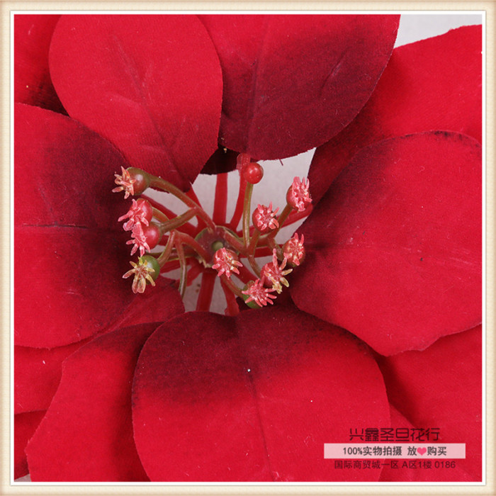 Poinsettia flowers wholesale manufacturers Christmas flower simulation simulation artificial flowers Poinsettia flowers wholesale manufacturers Christmas flower simulation simulation artificial flowers