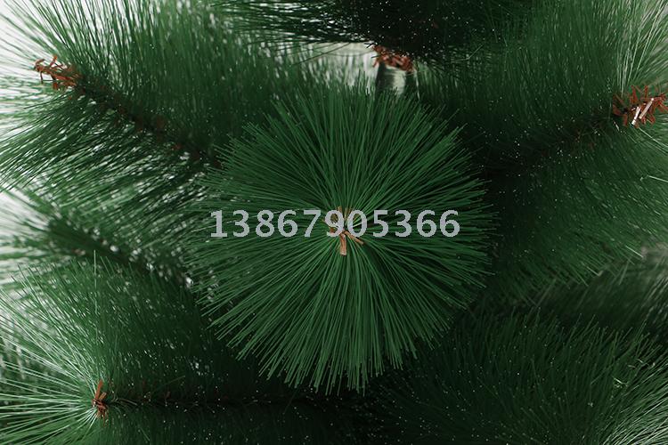 Christmas tree pine needles tree hook tree high profile tree luxury tree ornament tree christmas tree Christmas tree pine needles tree hook tree high profile tree luxury tree ornament tree christmas tree