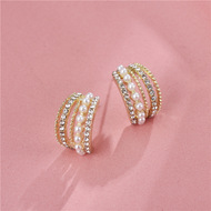 Sweet Rhinestone Little Tiger Earrings Temperament Wholesale Chinese Zodiac Tiger Birth Year Chinese Style Spring Festival New Year Earrings Earrings