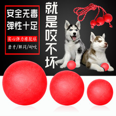 The manufacturer wholesales pet environmental protection trumpet stabs The cat stabs The dog toy grinds The tooth clean The dog The glue sound toy The manufacturer wholesales pet environmental protection trumpet stabs The cat stabs The dog toy grinds The tooth clean The dog The glue sound toy