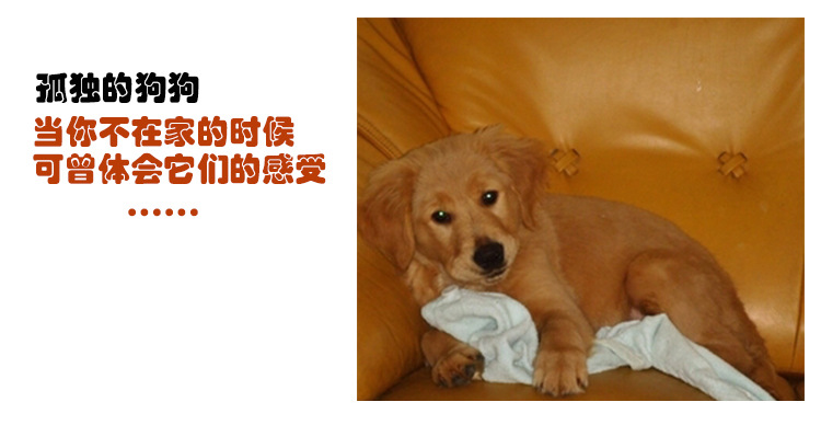 The manufacturer wholesales pet environmental protection trumpet stabs The cat stabs The dog toy grinds The tooth clean The dog The glue sound toy The manufacturer wholesales pet environmental protection trumpet stabs The cat stabs The dog toy grinds The tooth clean The dog The glue sound toy