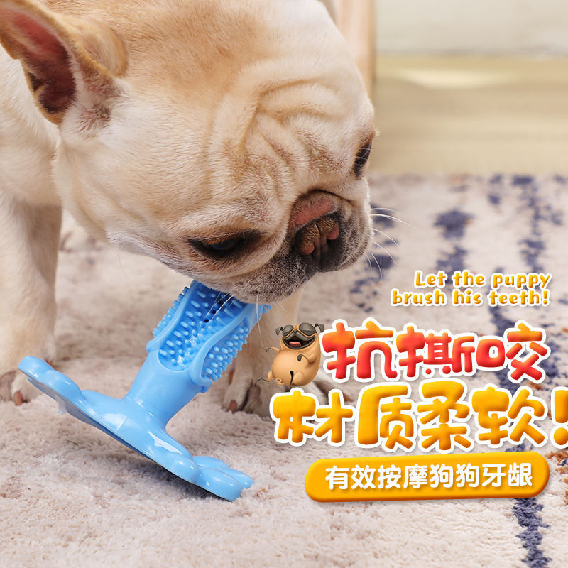 Manufacturer direct TPR pet toothbrush toy pet toy Teddy golden bristles dog cleaning products trumpet