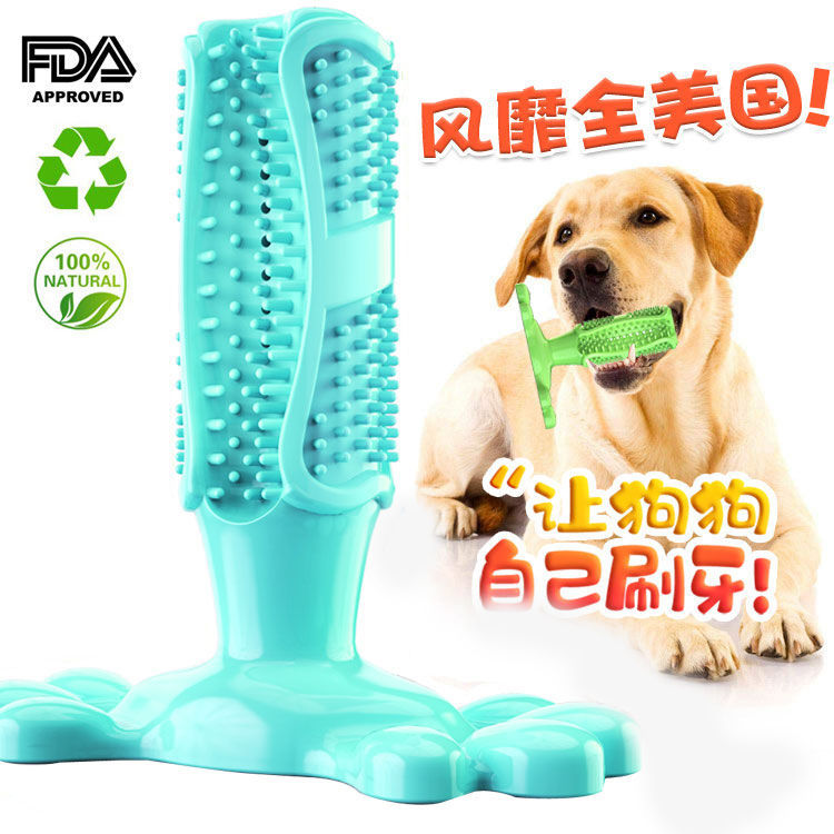 Manufacturer direct TPR pet toothbrush toy pet toy Teddy golden bristles dog cleaning products trumpet